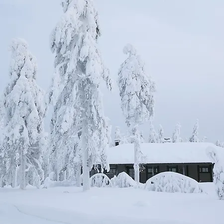 Jaettilaeisenmaa Village de vacances Paltamo