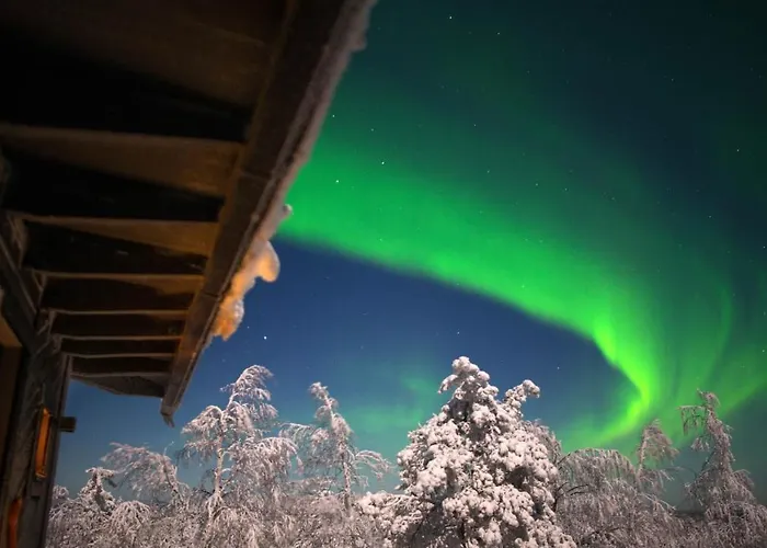 Jaettilaeisenmaa Paltamo